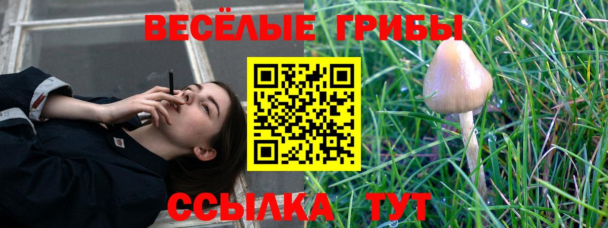 Мегион  Псилоцибиновые грибы Psilocybe  Вход с VPN  Галлюциногенные грибы Psilocybine cubensis 